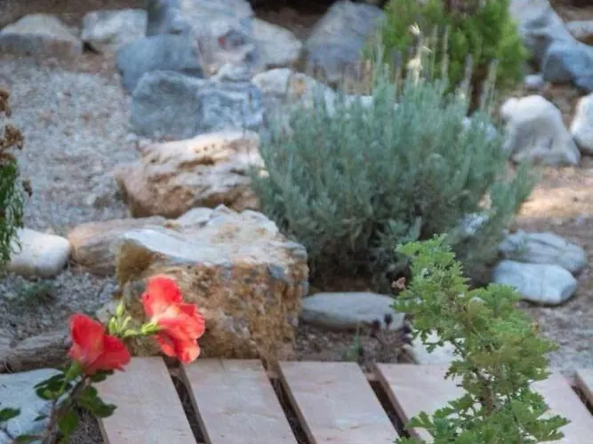 Villa The Hispaniola