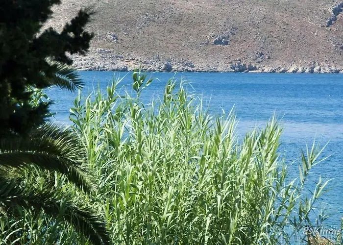 The Hispaniola فيلة