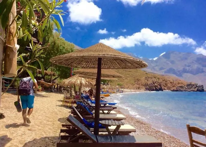 فيلة The Hispaniola