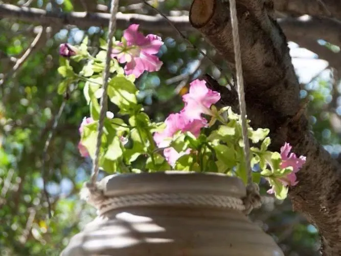 The Hispaniola فيلة *